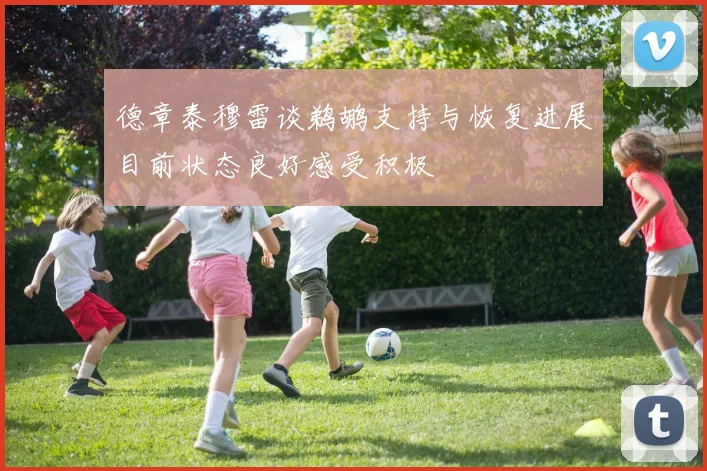 德章泰穆雷谈鹈鹕支持与恢复进展目前状态良好感受积极