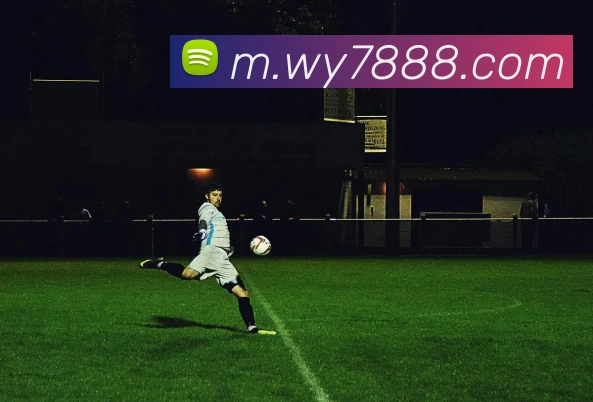 天博TB体育APP 高清赛事图